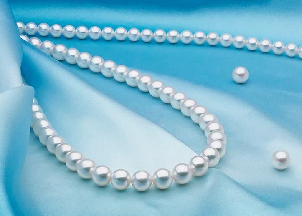 珍珠的種類分為幾種?