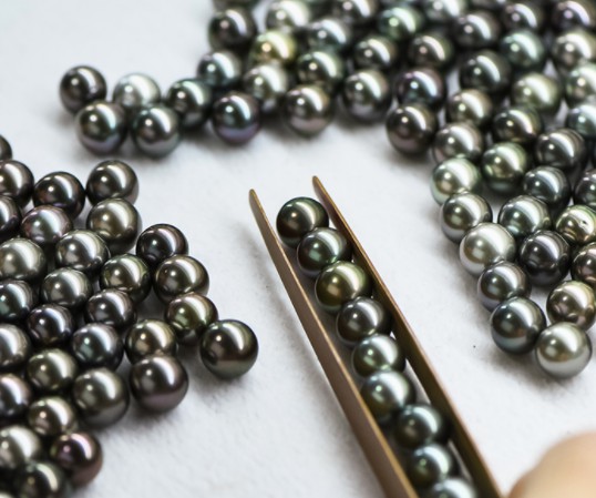 大溪地黑珍珠產地哪里?有哪些獨特之處